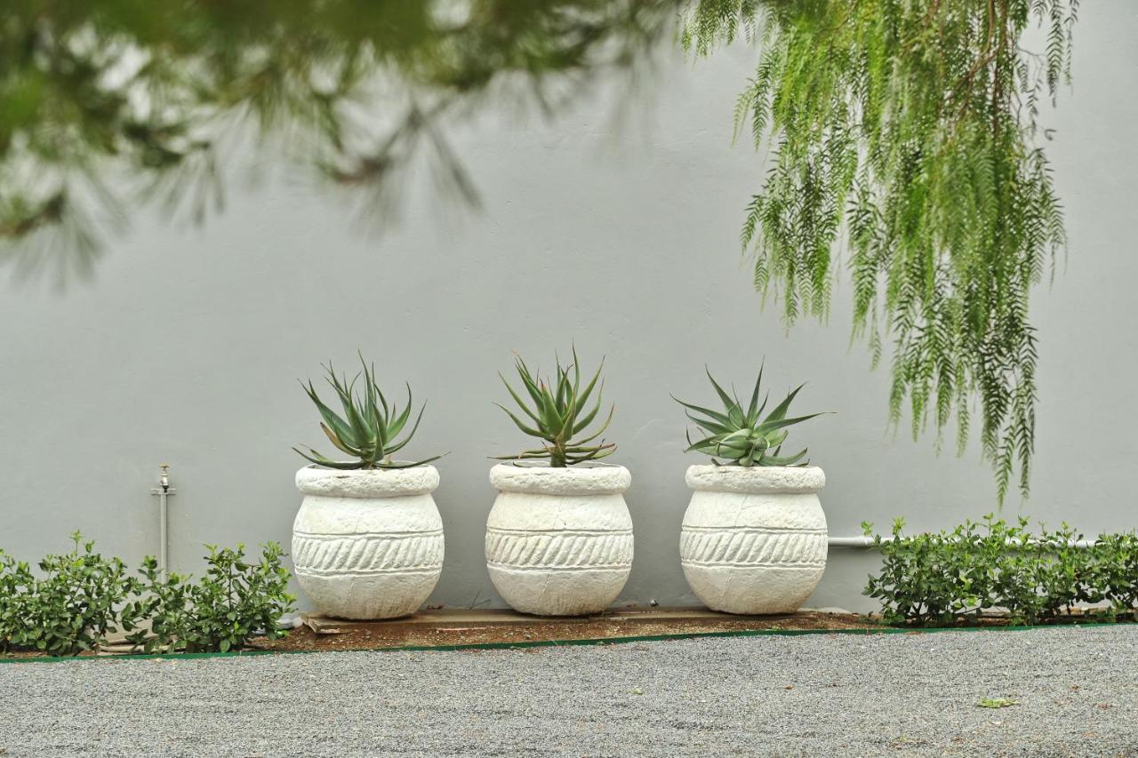 The Fancy Cactus Apartment โคลส์เบิร์ก ภายนอก รูปภาพ